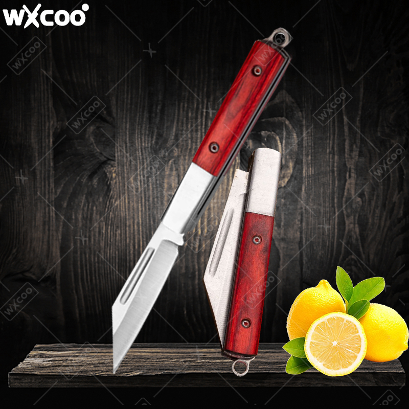 Kitchen Gadgets Pakistan - Stainless Steel Pocket Knife Rosewood Handle