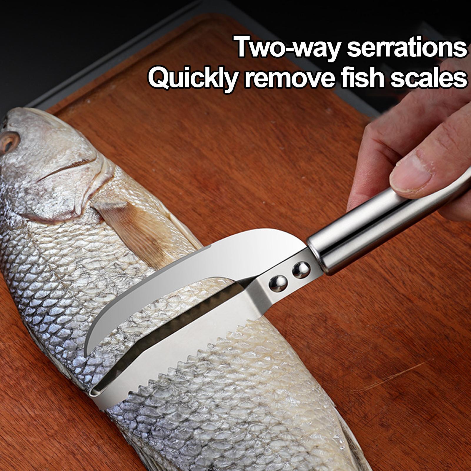 Fish Scale Remover Knife Picki - Kitchen Gadget Amazon ulasan dan harga