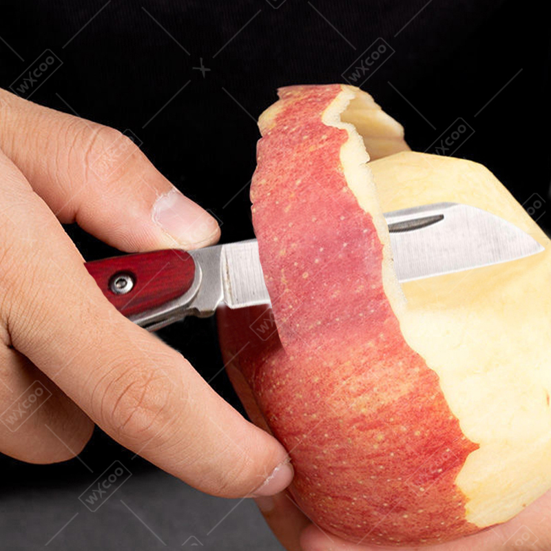 Stainless Steel Pocket Knife R - Kitchen Gadgets Pakistan ulasan dan harga