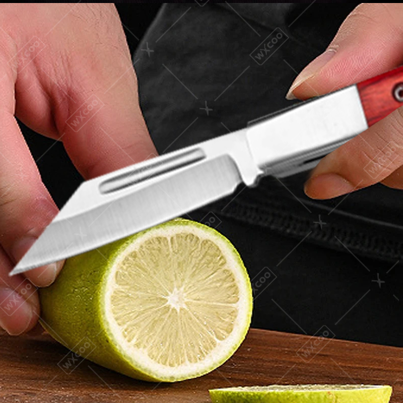 Stainless Steel Pocket Knife R - Kitchen Gadgets Pakistan ulasan dan harga