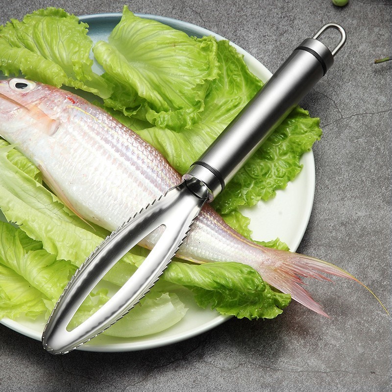 Stainless Fish Scales Scraping - Kitchen Gadget Amazon ulasan dan harga