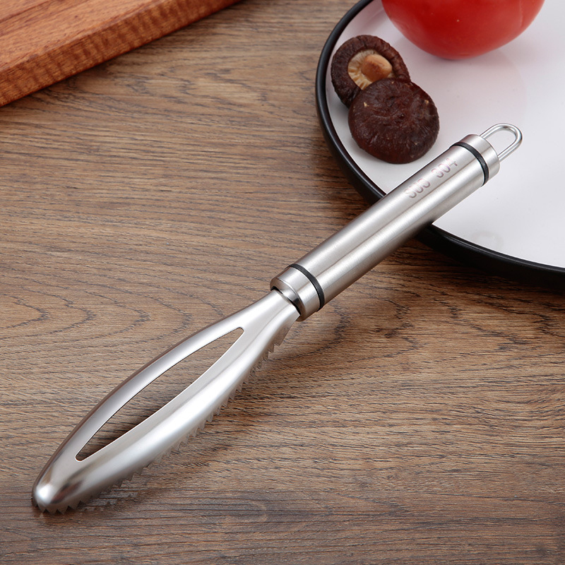 Stainless Fish Scales Scraping - Kitchen Gadget Amazon ulasan dan harga