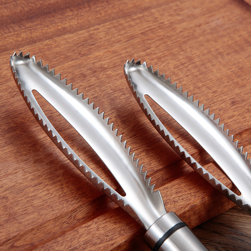 Stainless Fish Scales Scraping - Kitchen Gadget Amazon ulasan dan harga